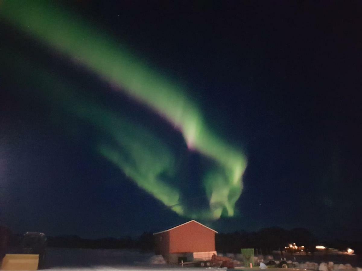 1 Room In The Yellow House, Close To Airport & Lofoten Evenskjer Экстерьер фото
